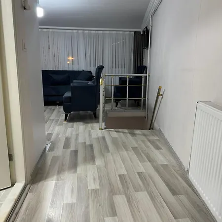 Lord ımmortelle *