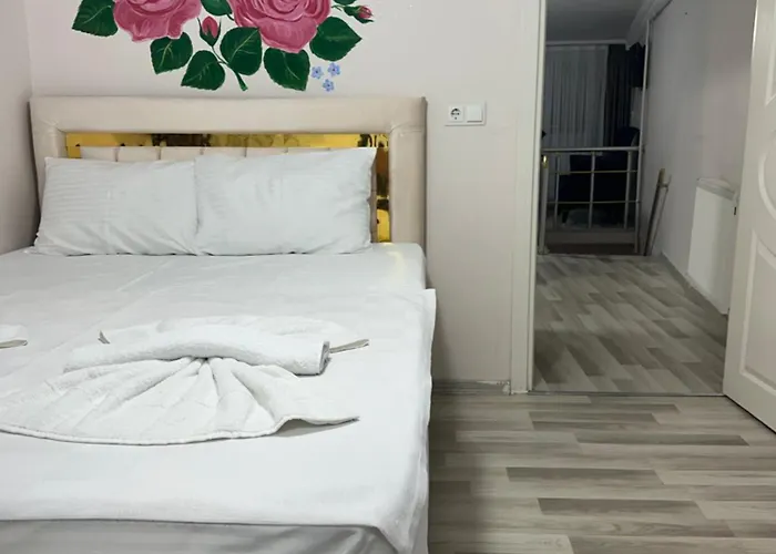 Sultanahmet Immor 伊斯坦布尔